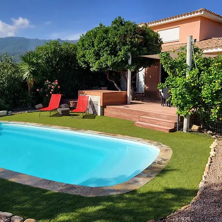 Villa Lolotte - Lecci